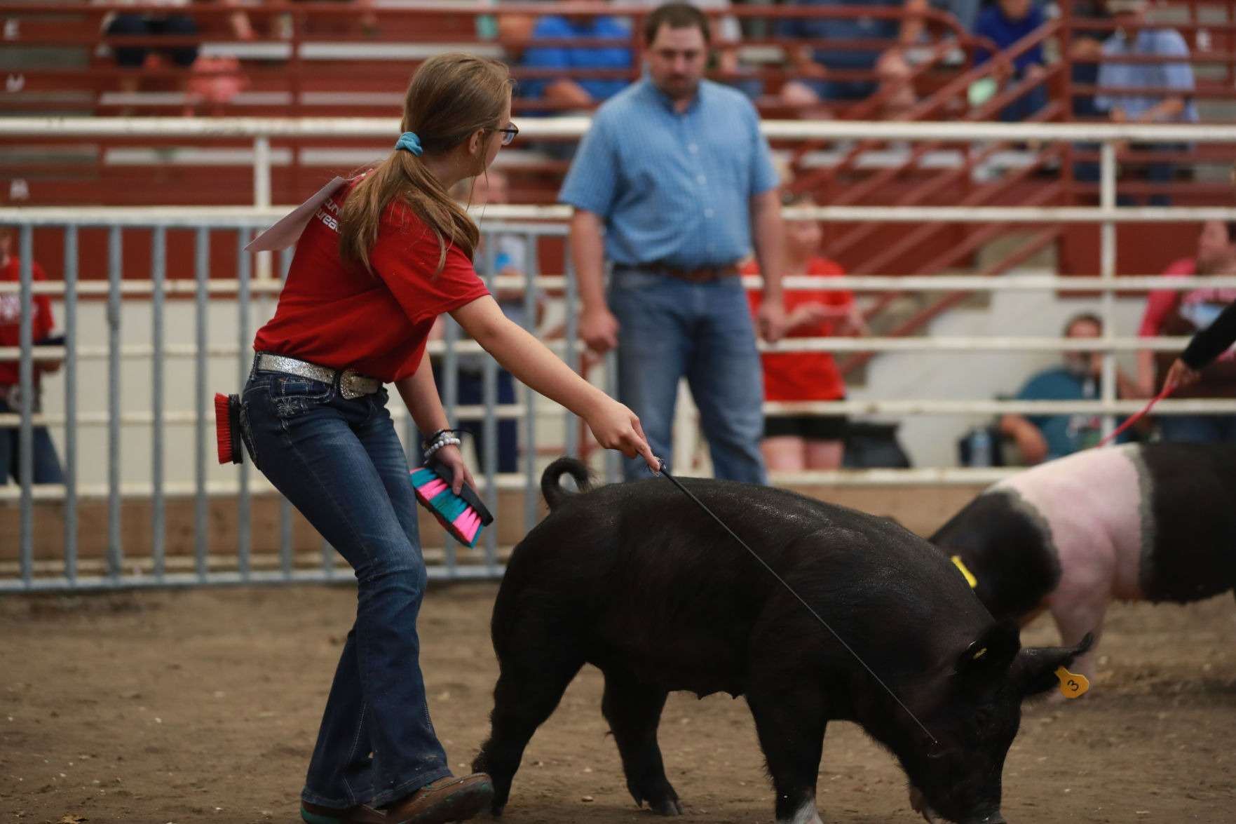 071119_HallCoFair06_bjs.JPG